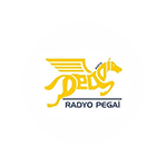 RADYO PEGAİ